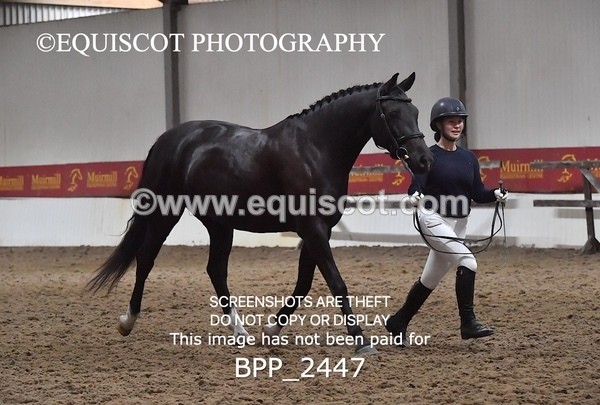 BPP_2447 - AFTERNOON 12.30 - 3.30PM