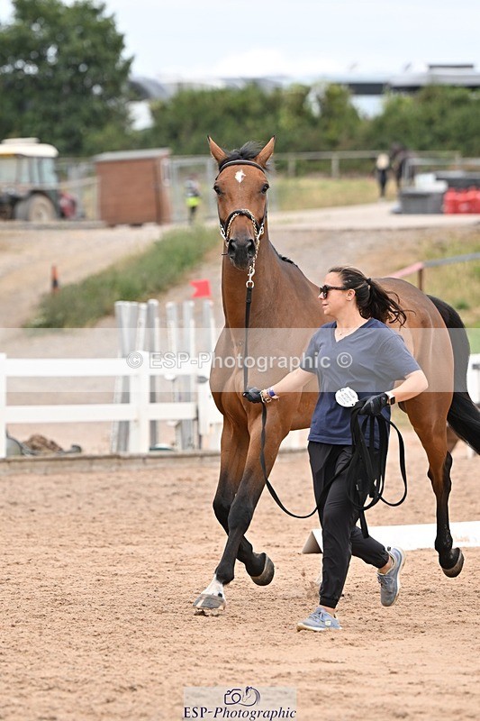 250716-160243-02360 - Trot Up 3.30 to 4.30