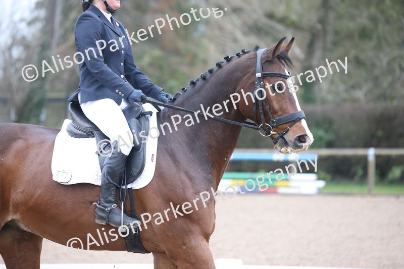 20251206-0639 - Class 7 - Elementary 1