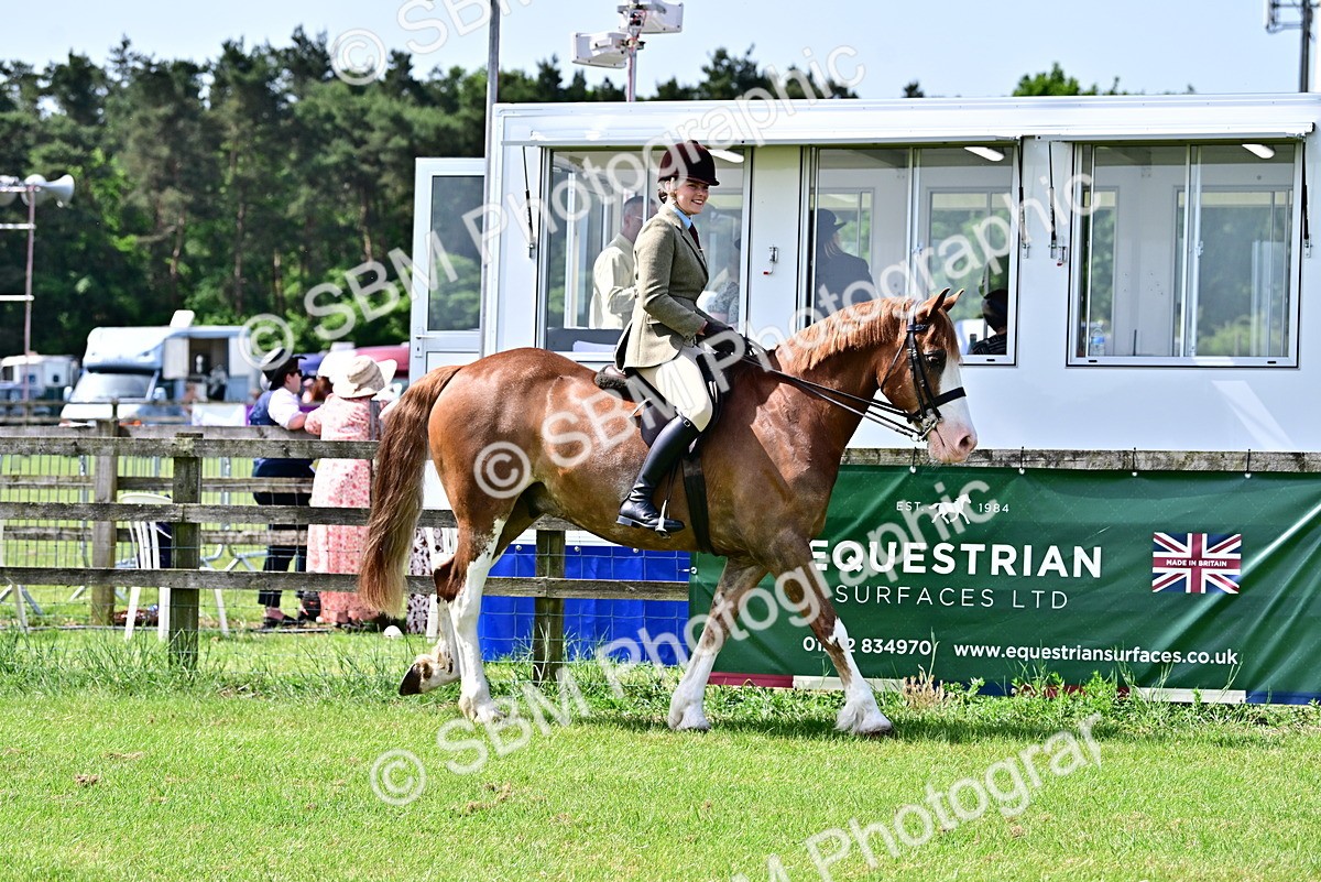 SBM_03704 - Class 58 - TSR  Ridden Veteran Amateur of the year