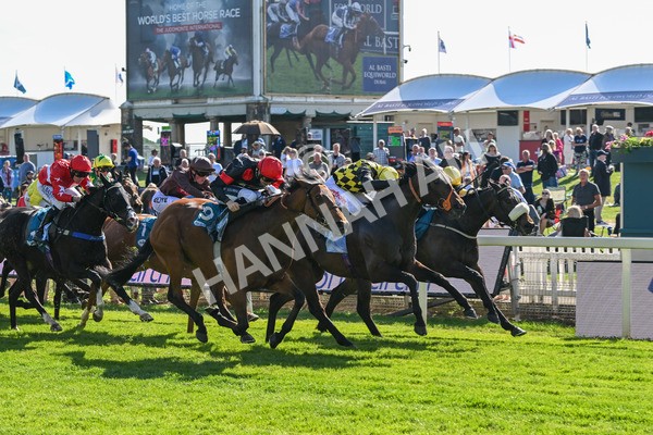 140525-Race 5-Rare Change-2735 - Race 5 4.18pm Conundrum HR Consulting Handicap