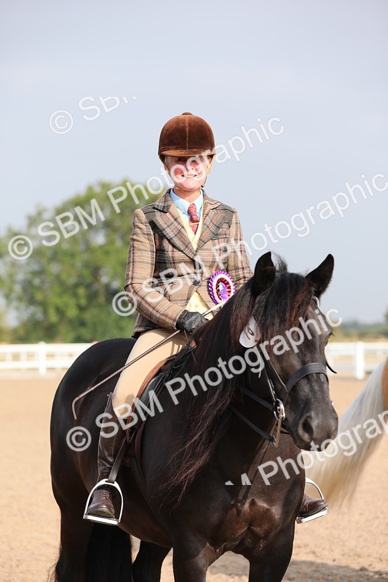 SBM_10175 - Class 302 Ridden M&M -Large Breeds