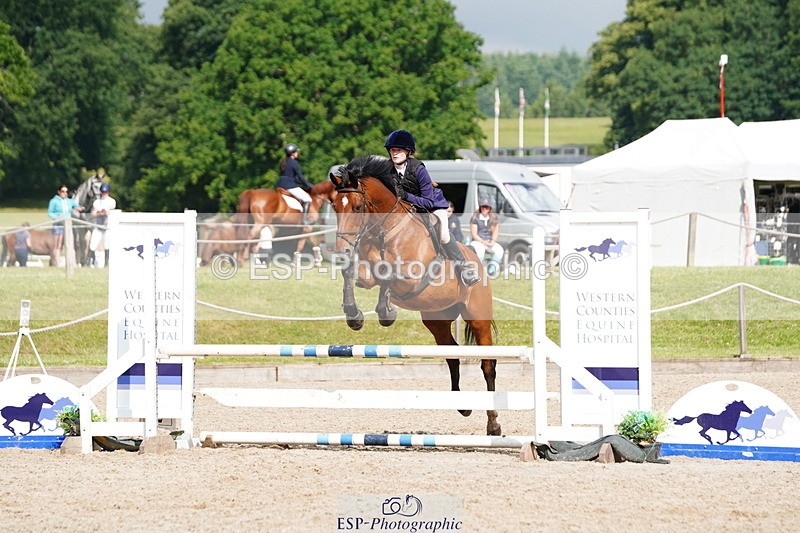 250615A-093350-09871 - Class 43 British Novice 90cm Open