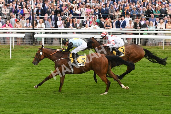 yr11062022r3-23 - Race 3 2.35pm The JCB Stakes