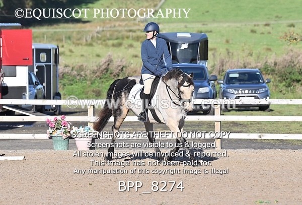 BPP_8274 - SHORT ARENA INTRO 1