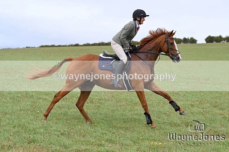 WJ7_1083 - Berks & Bucks Hound Exercise Blewbury 13-09-26