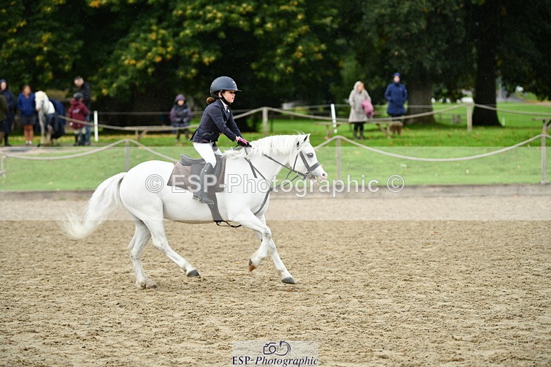 251004A-110700-00540 - Classes 4 & 5 50cm