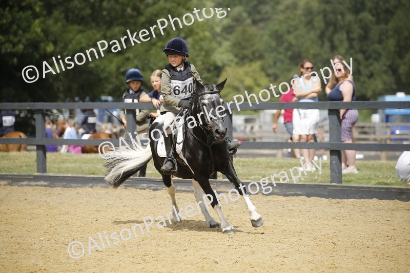 20250622-4053 - 50cm