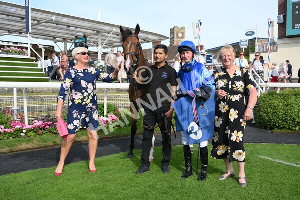 yr08072022r7-37 - Race 7 5.30pm Jigsaw Sports Branding Handicap