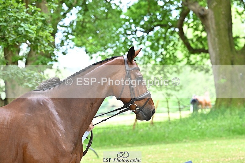 250521A-144500-00210 - A-058-Baptiste.Dehoorne-FAST.AND.DEVIL