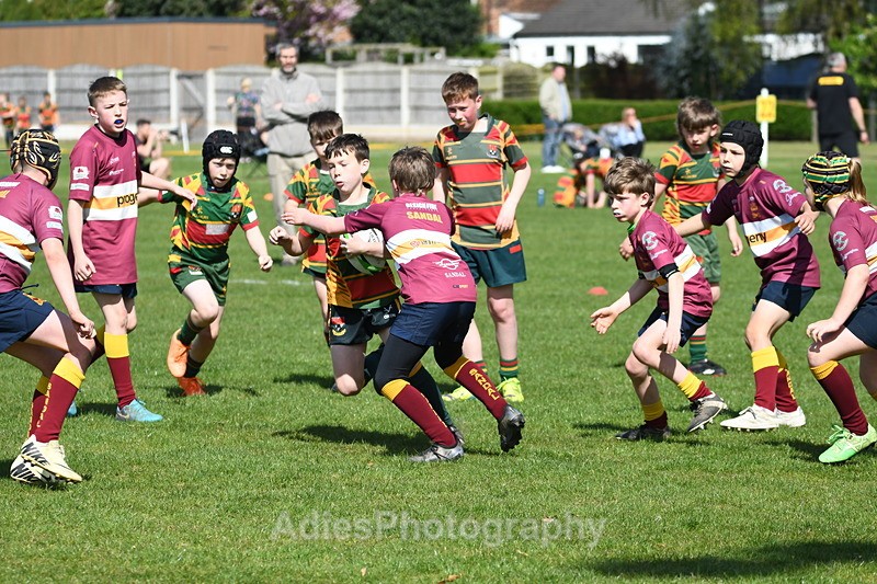  - Selby Rugby Festival 2025