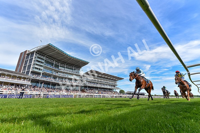 230526-Race 6-Pearl River-8638 - Race 6 16.25pm Royal Yorkshire Regiment Handicap