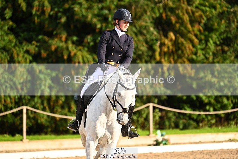 231021-155728-20975 - 262-GOOD.BOY.ALEX-Tara.Jefferies-DR