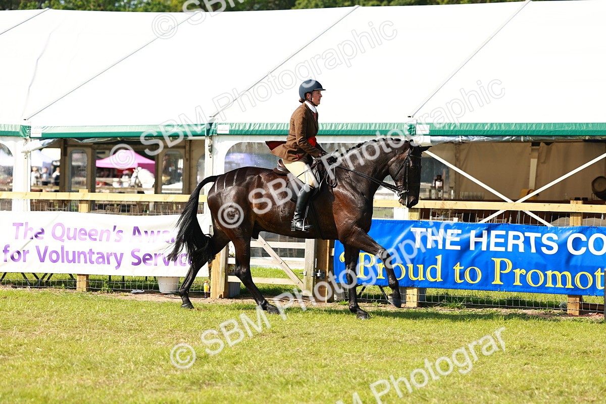 SBM_11927 - Class 66-69 - RIHS Ridden Hunters Inc Small Hunter