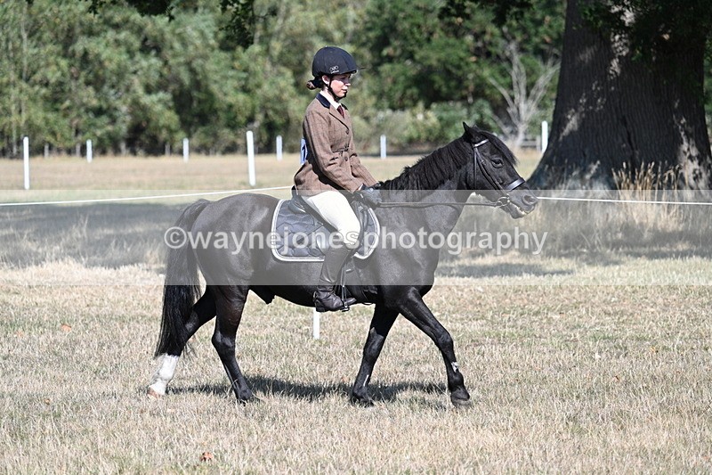 WJ7_3460 - Class 9 Mountain & Moorland Ridden