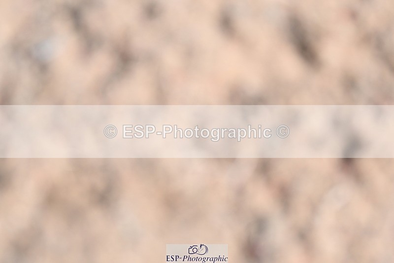 240623A-102605-16514 - Cls 45 BD Prelim 19