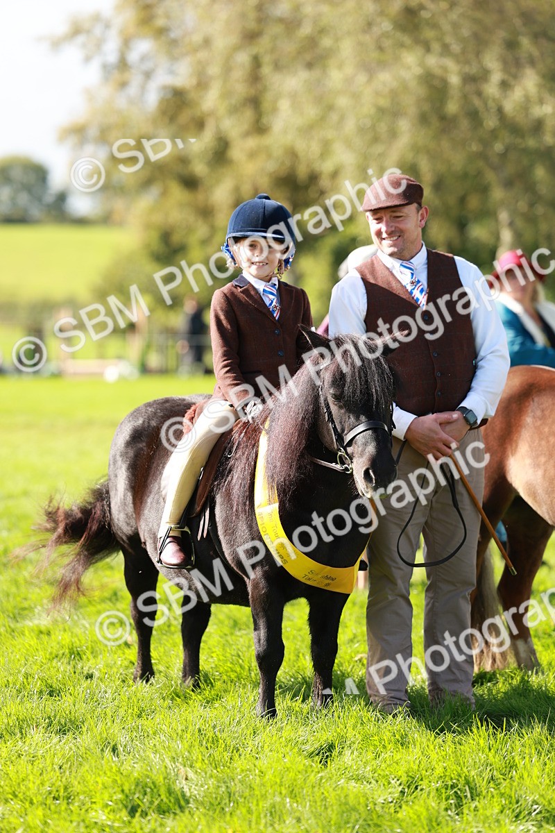 SBM_37569 - Fun Showing Supreme Championship