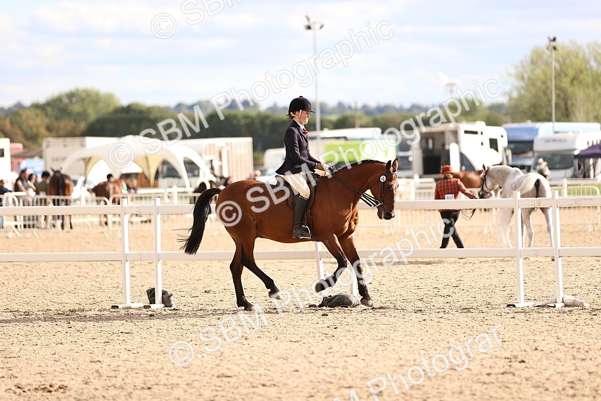 SBM_18233 - Class 423 - Equitation (best rider) Adult