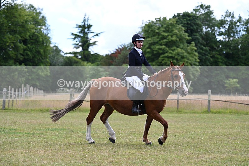 WJ7_9517 - Class 8 Ridden Veterans