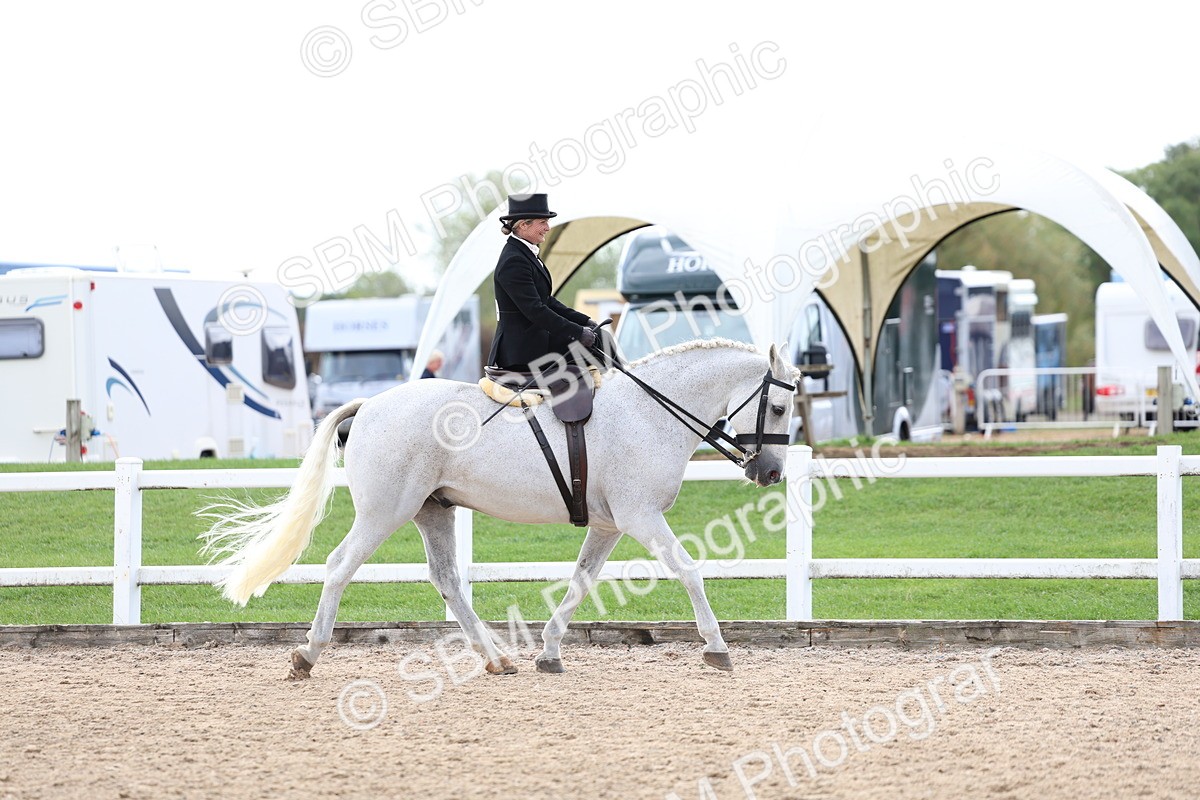 SBM_03174 - Class 22 - SSA Equitation (any age)