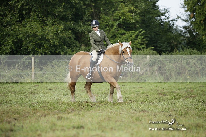 BVRC 120921 4 - Bourne Valley Riding Club UA Dressage & Show Jumping 12/09/21