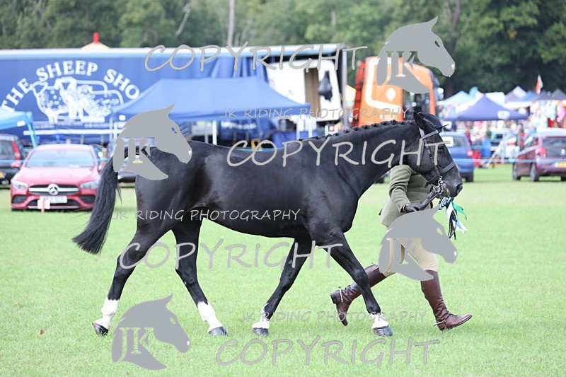 APP_2682 - Class 9 Veterans in hand