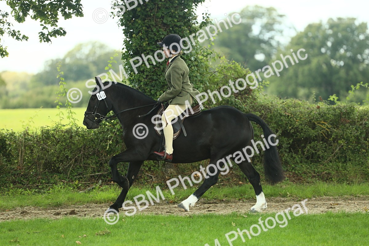 SBM_44943 - Working Hunter Pony Supreme Championship