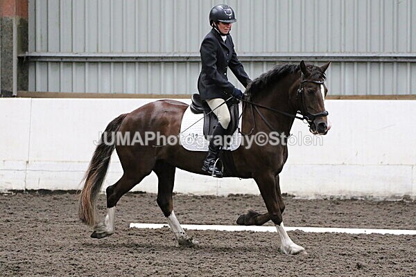 SIAL4636 - CAbin Dressage 5th july 2025