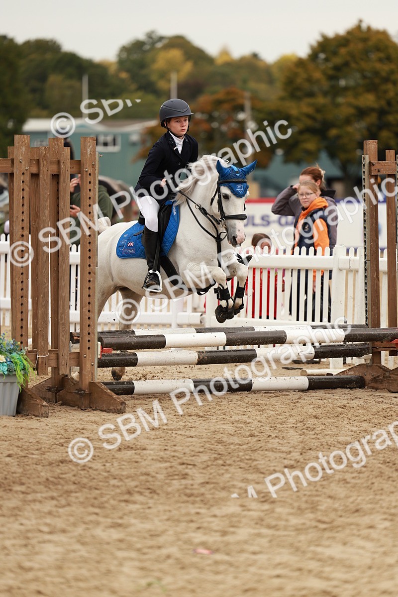SBM_57949 - J11 - Junior Pony 50cm Championship