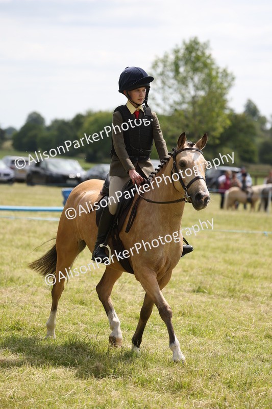 20260614-1793 - Class 21 - Novice Working Hunter Pony