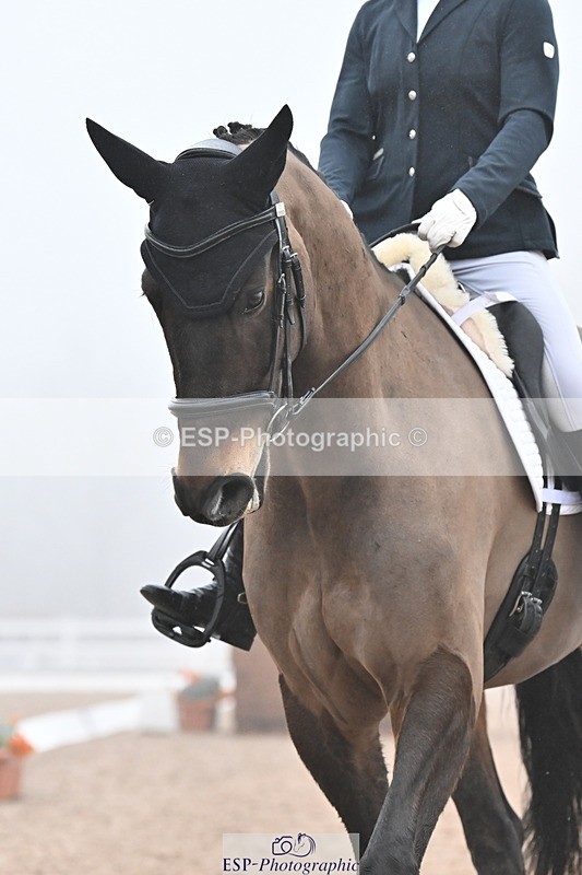 240217A-124536-02294 - 119-Shona.Mclauchlan-Diamond.Darco