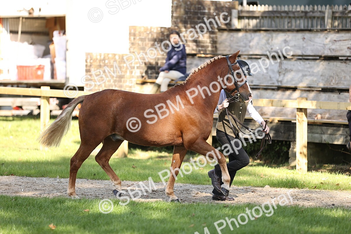 SBM_26142 - S5 - Novice & Newcomers In Hand