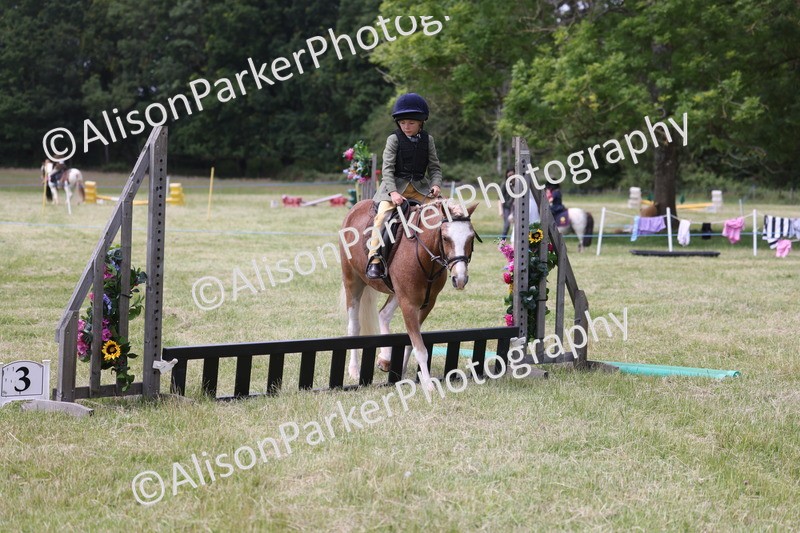20260614-2035 - Class 21 - Novice Working Hunter Pony