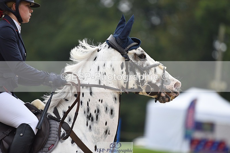 231001-125432-02556 - Cls 2 80cm 12.20 to End