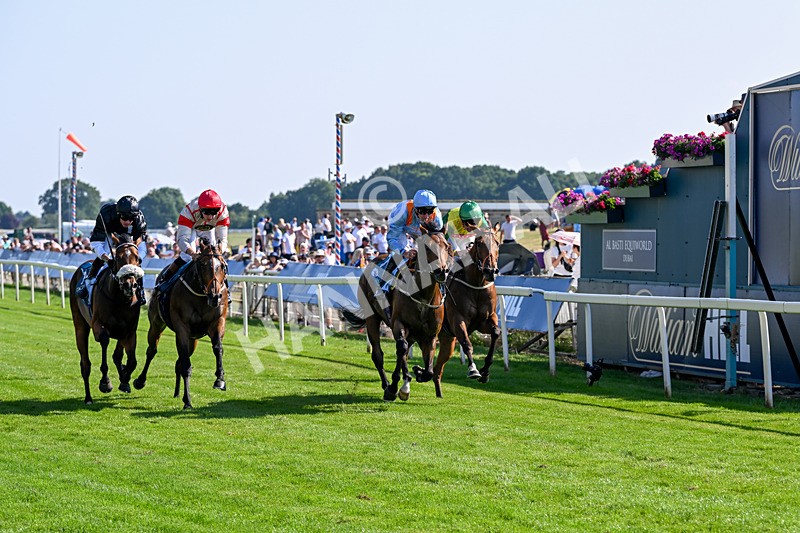 100726-Race 6-Ziggys Triton-0680 - Race 6 17.05pm William Hill Keep Your Raceday Positive Handicap