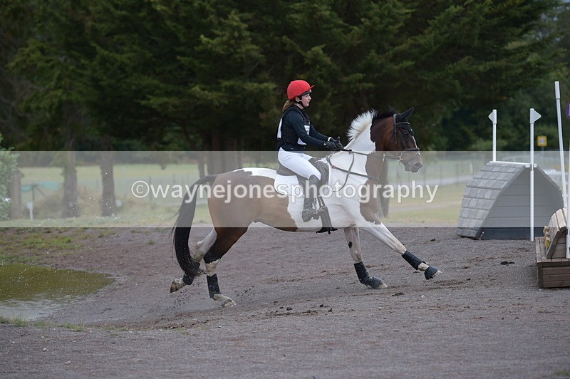 NGP_2135 - XC Time 11:20 to 11:36