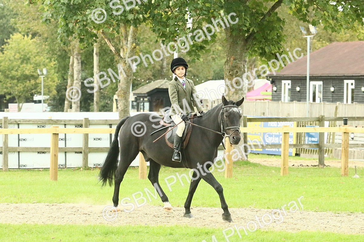 SBM_73984 - S 61 - Show Pony & Show Hunter Pony Ridden