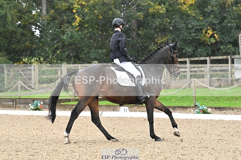 251023A-121059-02172 - B-142-Harry.Hodge