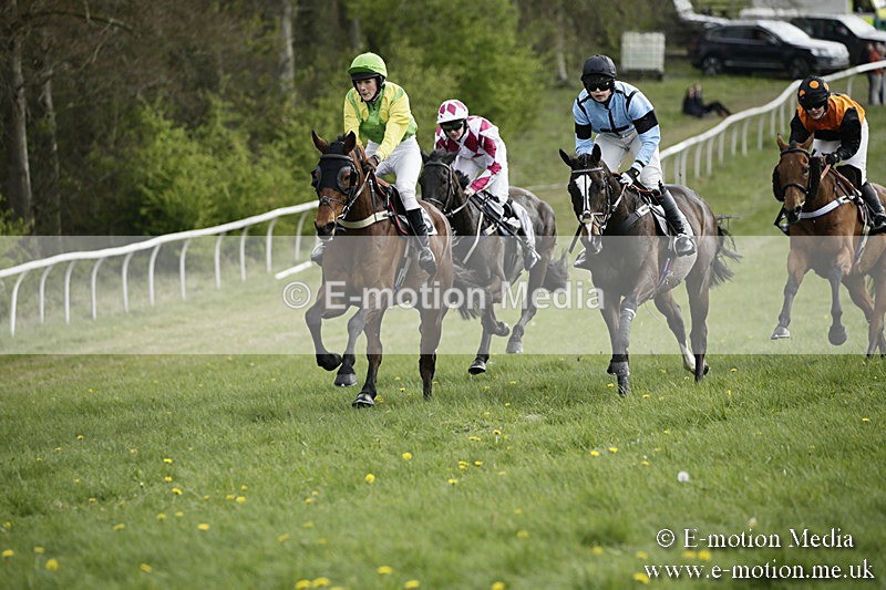 PtP 170417 321 - Old Berks Point-to-Point Lockinge 17/04/17