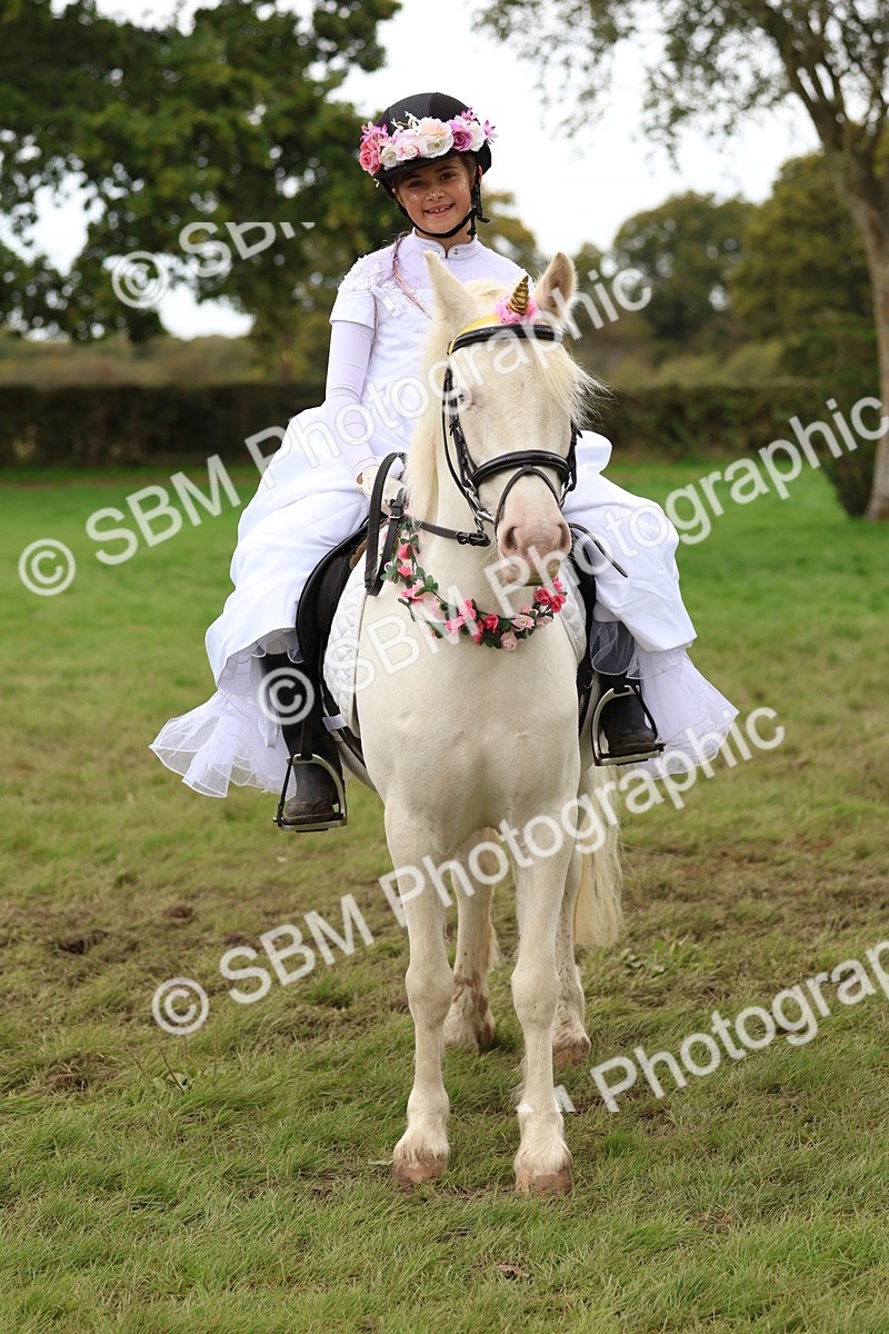 SBM_62165 - S37b - Best Unicorn