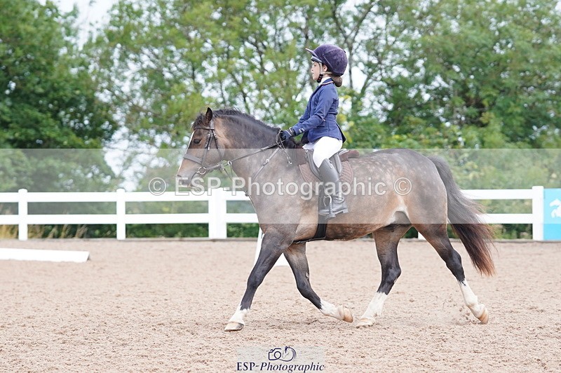 240809A-095750-00374 - Dressage Competition