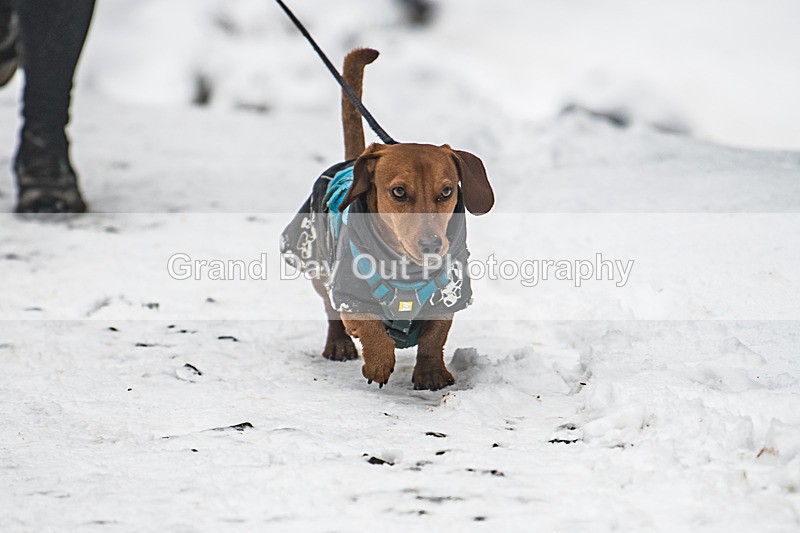Glentress-738 - High Terrain Events Glentress 42, 21 & 10K Trail Races Sunday 15th February 2026