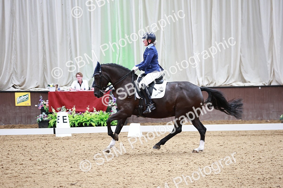 SBM_014203 - Class 7 - Ele FSM Bronze 12.12.13.08