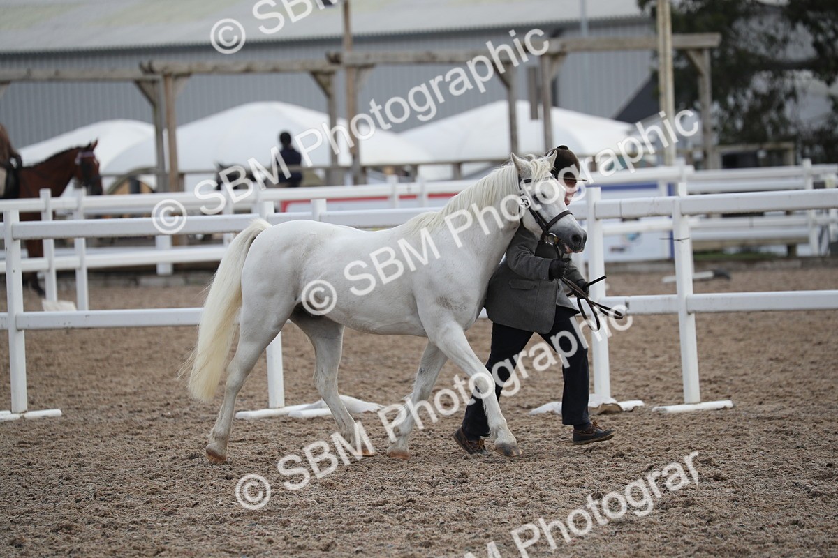 SBM_23103 - Class 605 - 2025 Area - IH Veteran