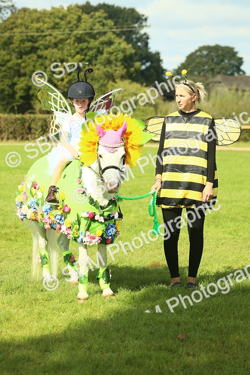 SBM_63524 - S35 - Fancy Dress Showing