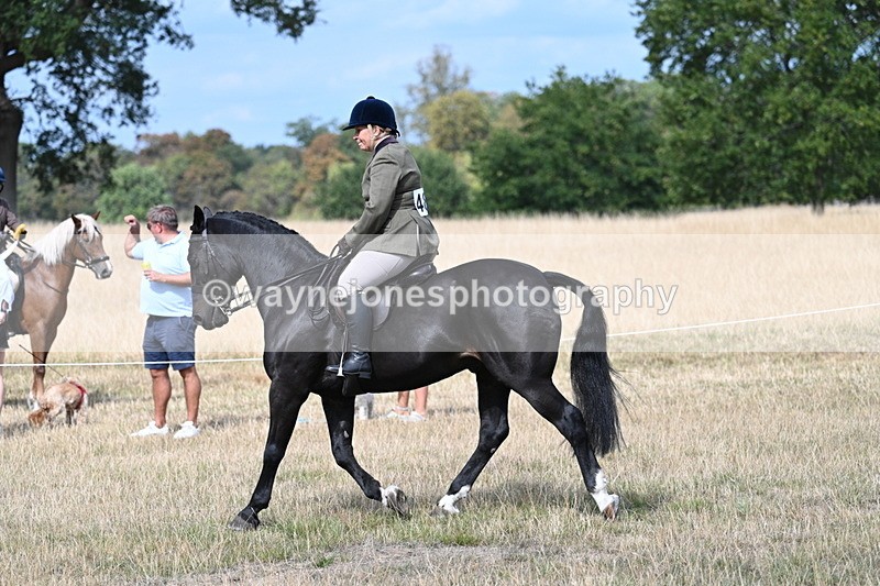 WJ7_5872 - Class 13 Ridden Veterans