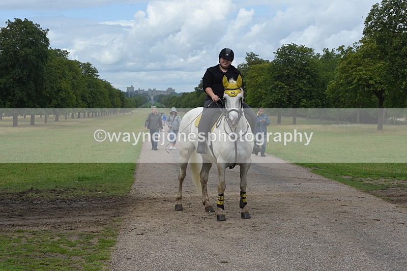 TT3_0363 - Time at Crossing 13:17 to 14:48