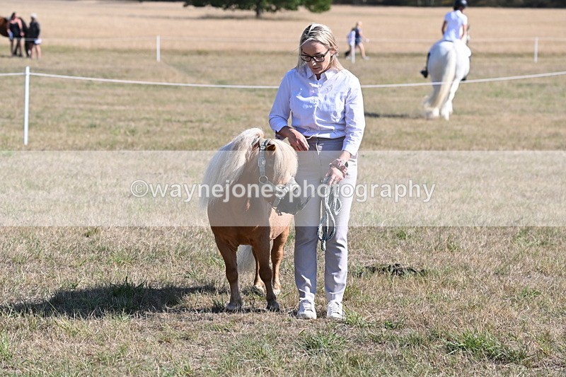 WJ6_7366 - Class 33 Rescue Pony