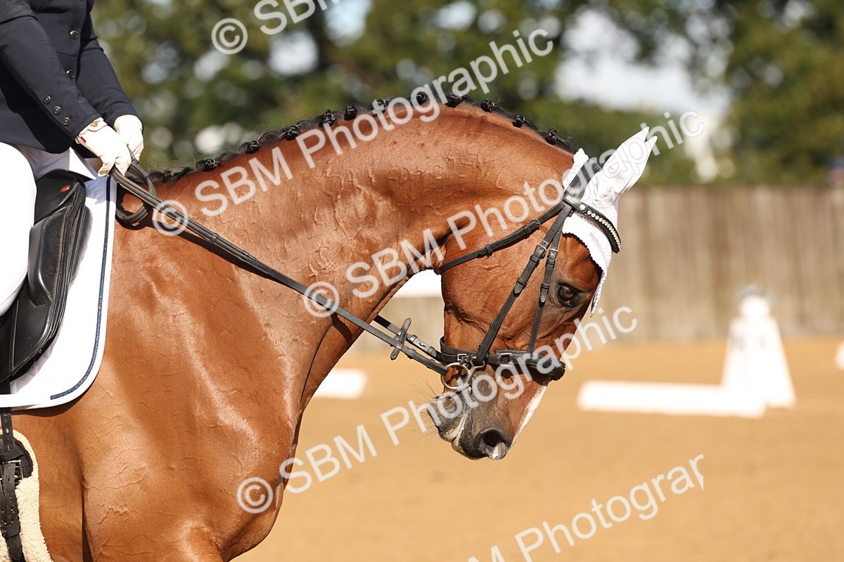 SBM_37614 - D18 - Grand Tour Championship Novice 2