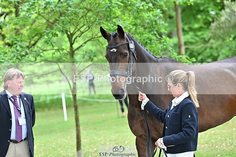 250521A-152350-00480 - B-310-Kitty.King-LISCARROW.FERNHILL